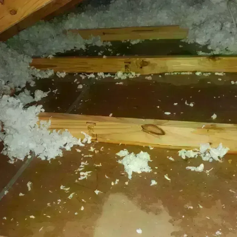 Attic Water Damage in Fort Wayne, IN