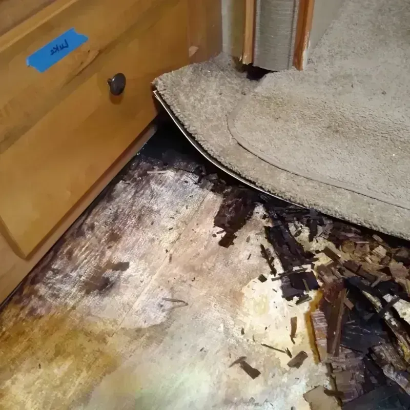 Wood Floor Water Damage in Fort Wayne, IN